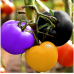 JCSSUPER 100Pcs Rainbow Tomato Seeds Colorful Bonsai Organic Vegetables and Fruits Seed Home Garden